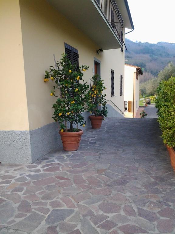 La Casa Dei Limoni Apartment Matraia Ngoại thất bức ảnh